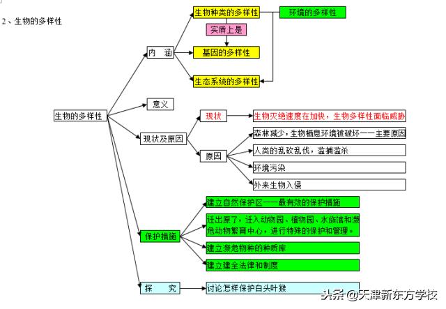 初中生物知識點梳理——思維導圖，清晰得不要不要的！
