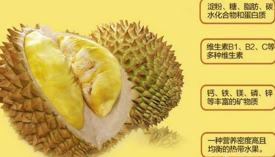吃了那么多榴蓮，終于知道為什么榴蓮那么貴？