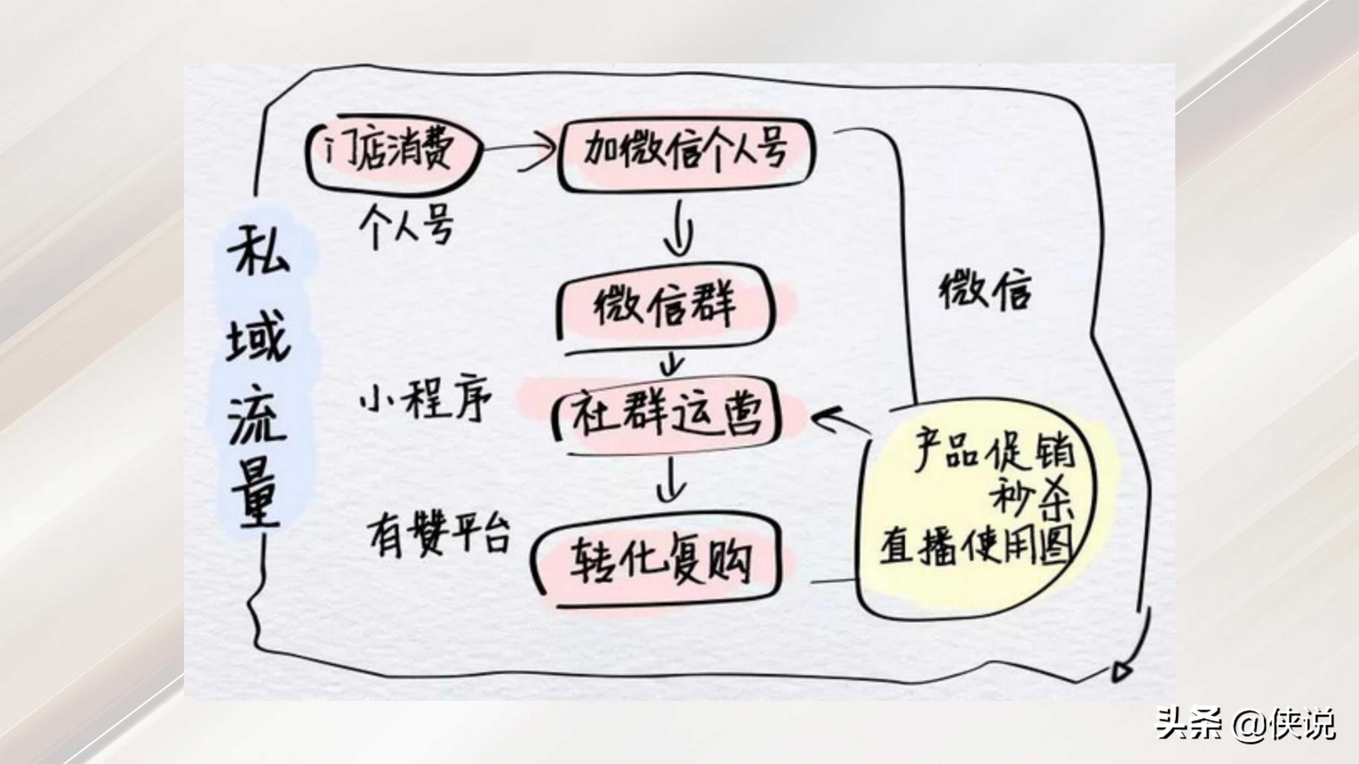 私域流量:直播賦能線下門店(門店管理與方案系列19份)