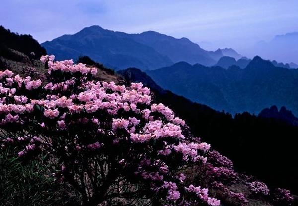 湖北四大旅游景點，美景不容錯過，你去過幾個？