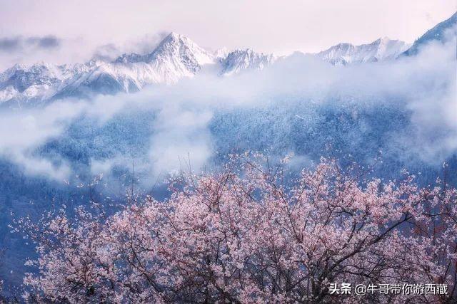 盤點西藏最火的8大旅游景點，只等疫情過去，就可以出發了