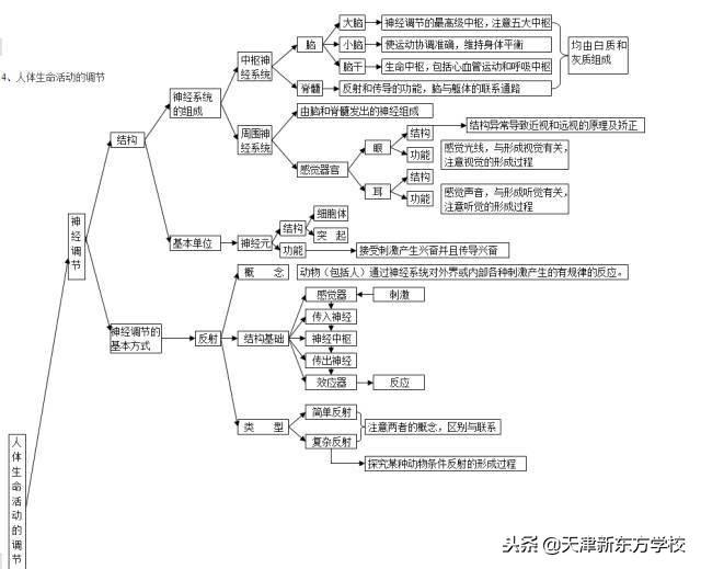 初中生物知識點梳理——思維導圖，清晰得不要不要的！