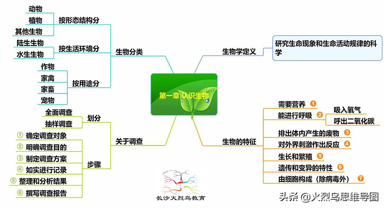什么是思維導圖？正確認識和運用思維導圖來提升思維能力