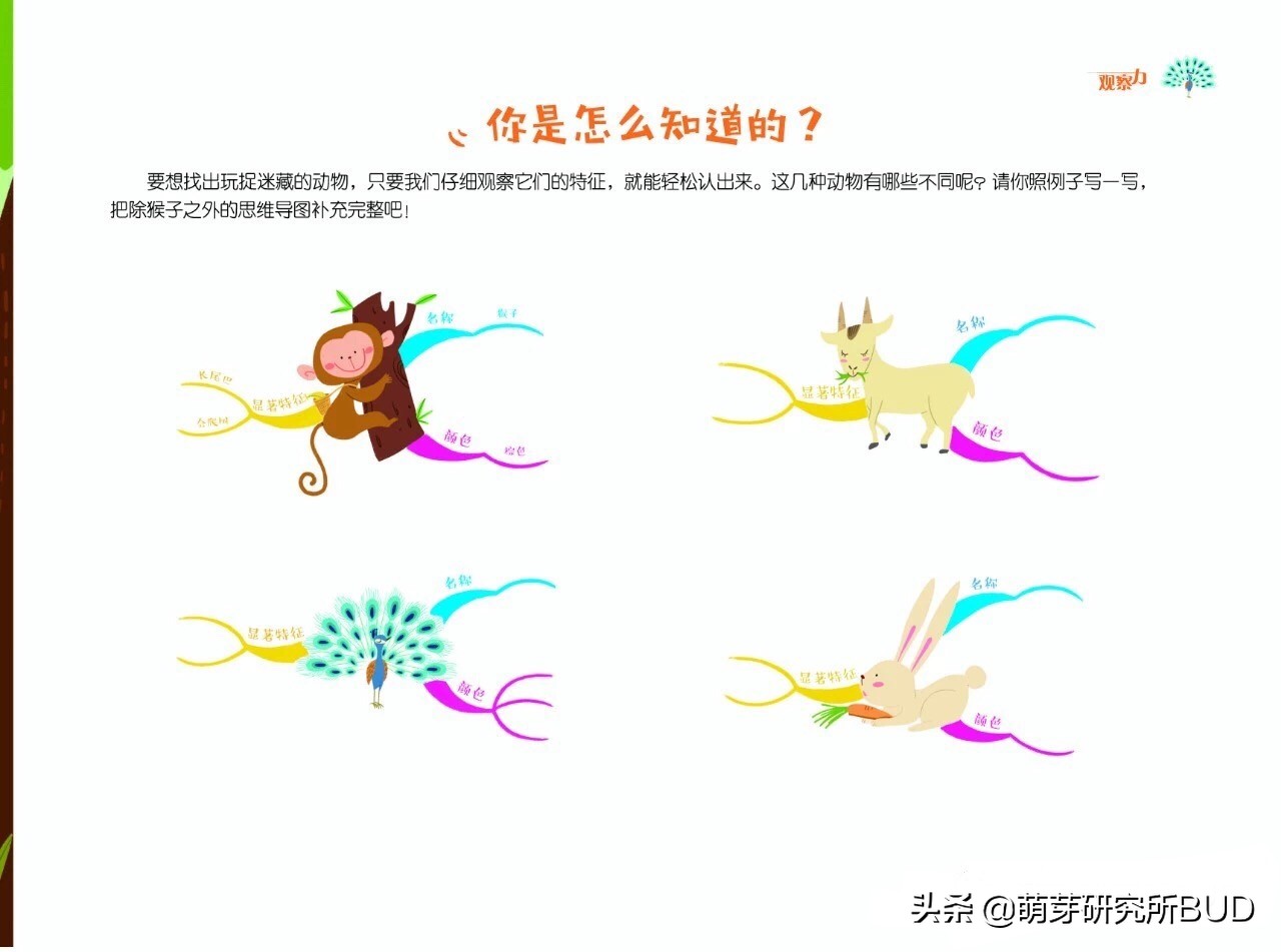 思維導圖的好處你知道嗎？3個關鍵讓孩子學會畫思維導圖