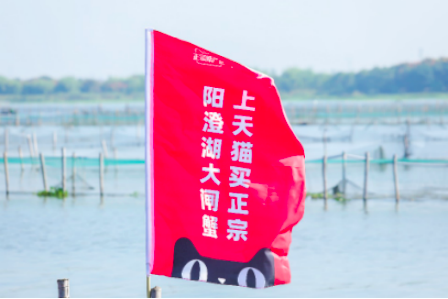 江浙滬混得好不好，看收沒收到大閘蟹！天貓3000萬只一天訂完