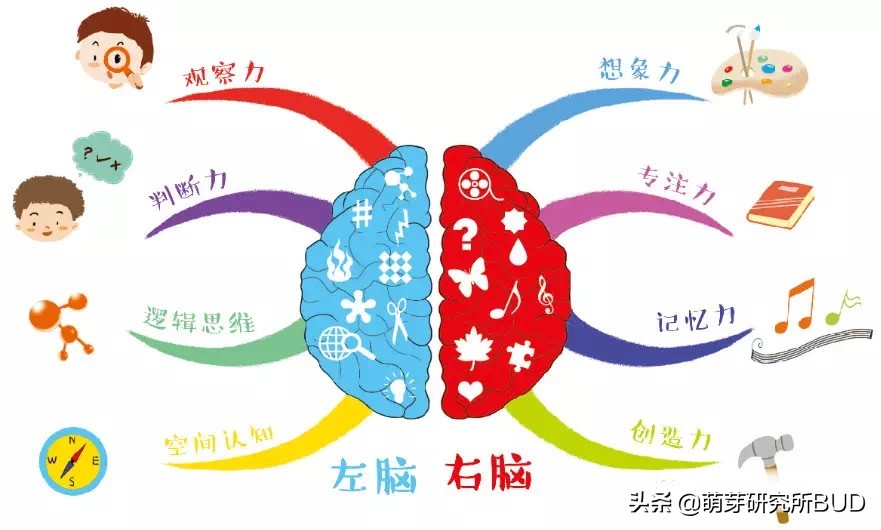 思維導圖的好處你知道嗎？3個關鍵讓孩子學會畫思維導圖
