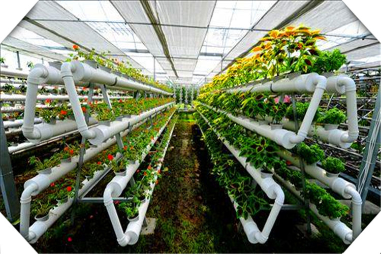2020年，有哪些好的創業項目呢？這幾個方面值得關注