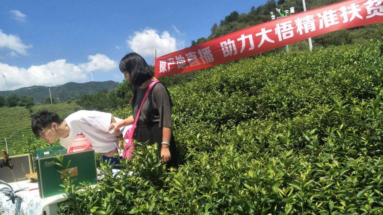 未來農村將現4大機遇，普通人也能布局，專家呼吁趕緊去農村買地