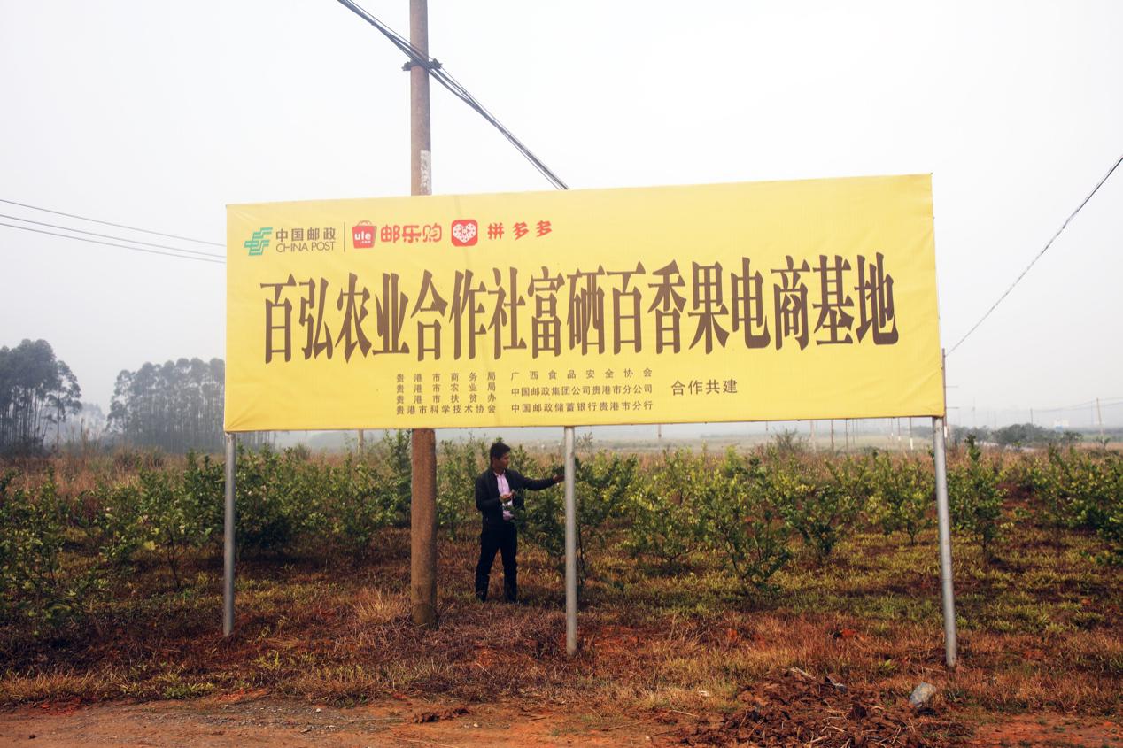 中國郵政與拼多多合作，三年內將打造150個中國郵政農產品基地