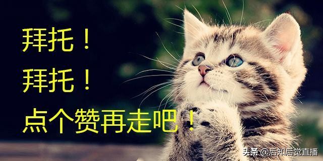 中小創是什么意思？中小板與創業板的區別