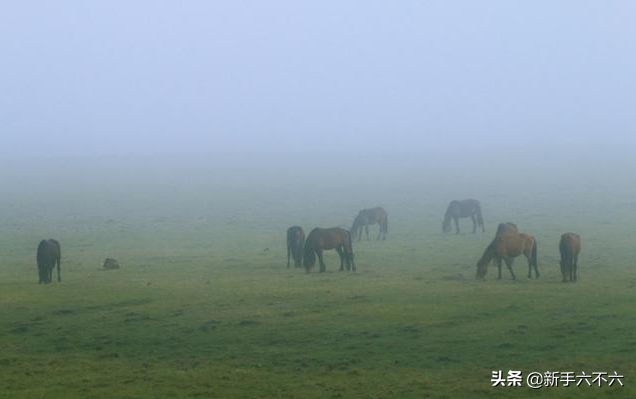 創業課堂分享農村鄉鎮創業賺錢的幾個好項目