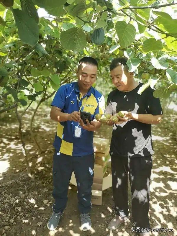 跑通疫情生死火線，德邦快遞的“硬核模樣”