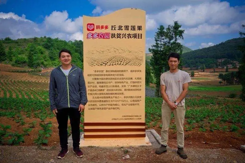 互聯網新能源拼多多加速向前