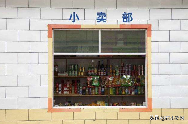 藏在農村的12個創業項目，看著不起眼，做好了不打工就能娶媳婦