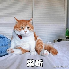 PDF文件怎么編輯？通過這幾款軟件，讓你輕松編輯PDF