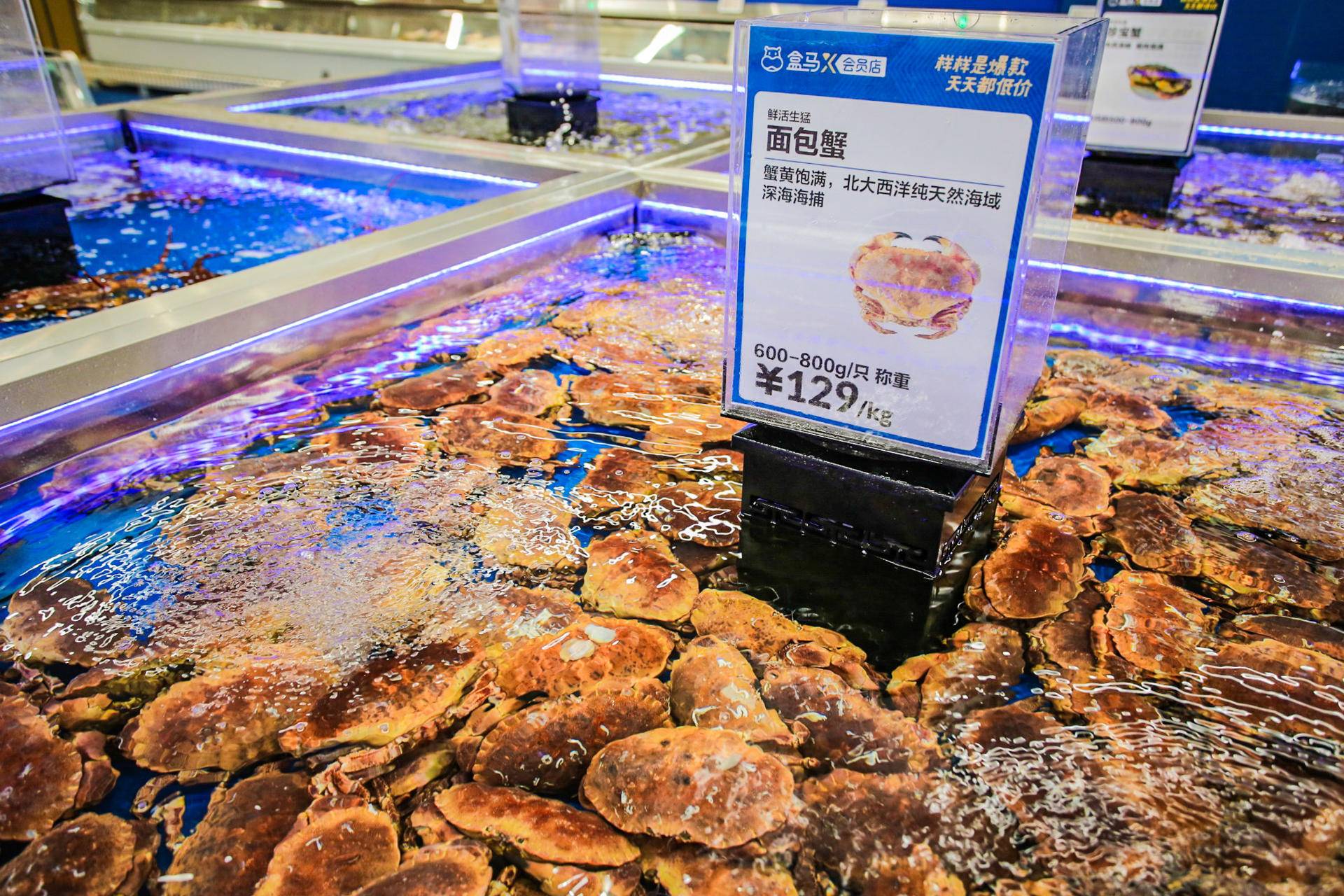 會員制超市新“三國殺”：盒馬X會員店引領新零售2.0？