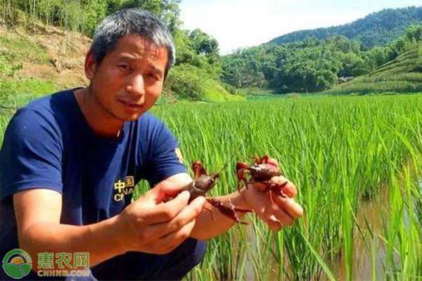 農村創業貸款怎么申請？申請貸款流程是怎樣的？