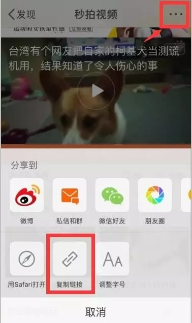 漲知識，蘋果手機不越獄不用腦輕松下載任何視頻！