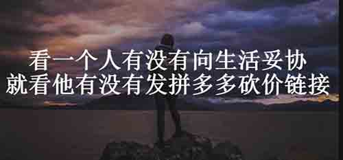 互聯網,付費渠道,拼多多
