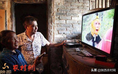 三個投本不大的創業，沒有技能要求，都是農村冷門！