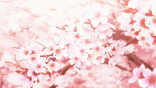 736c424b85f64f829437aa85cc1dc338?from=pc