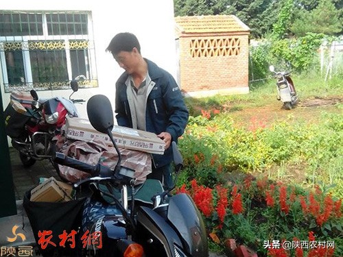 三個投本不大的創業，沒有技能要求，都是農村冷門！