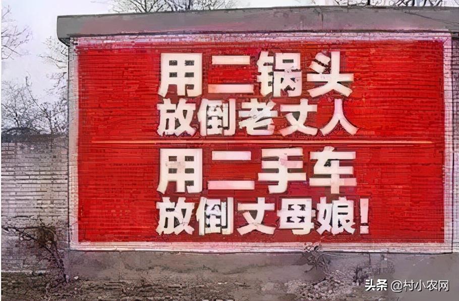2021年在農村創業，試試這25個致富項目，搞好了不比打工差