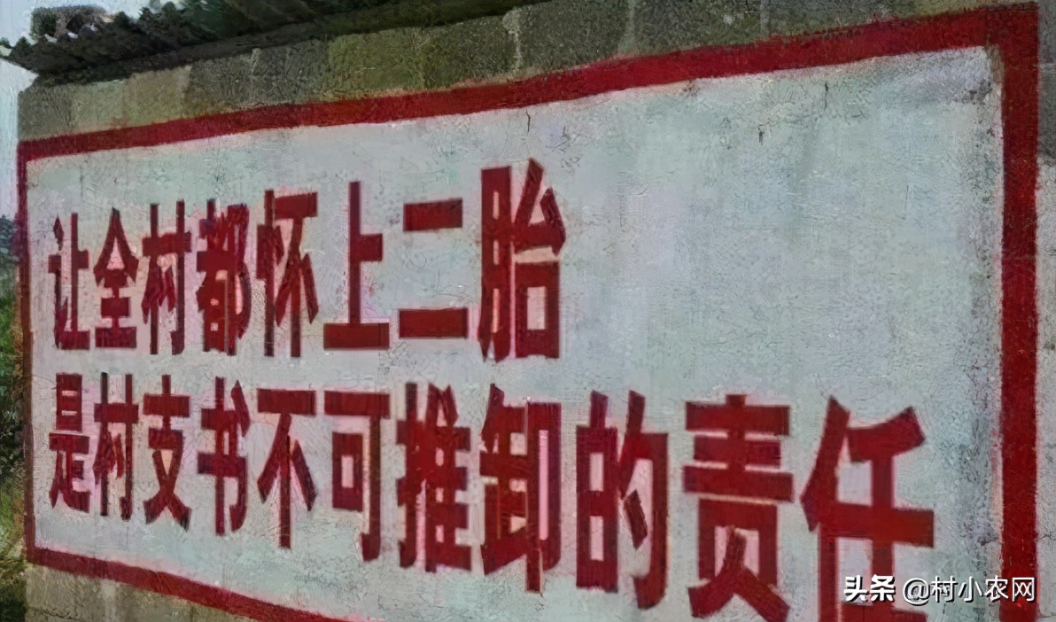 2021年在農村創業，試試這25個致富項目，搞好了不比打工差