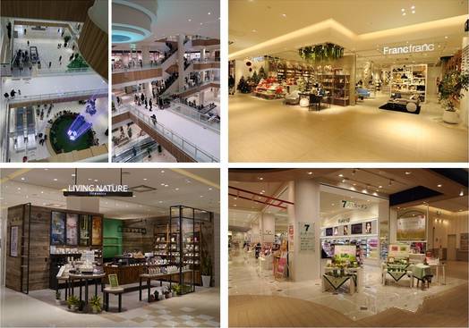 為什么日本實體店干掉電商，中國電商干掉實體店（上）