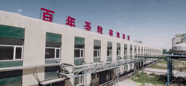 投資75億，變沙漠為草場，圣牧牛奶的有機之路