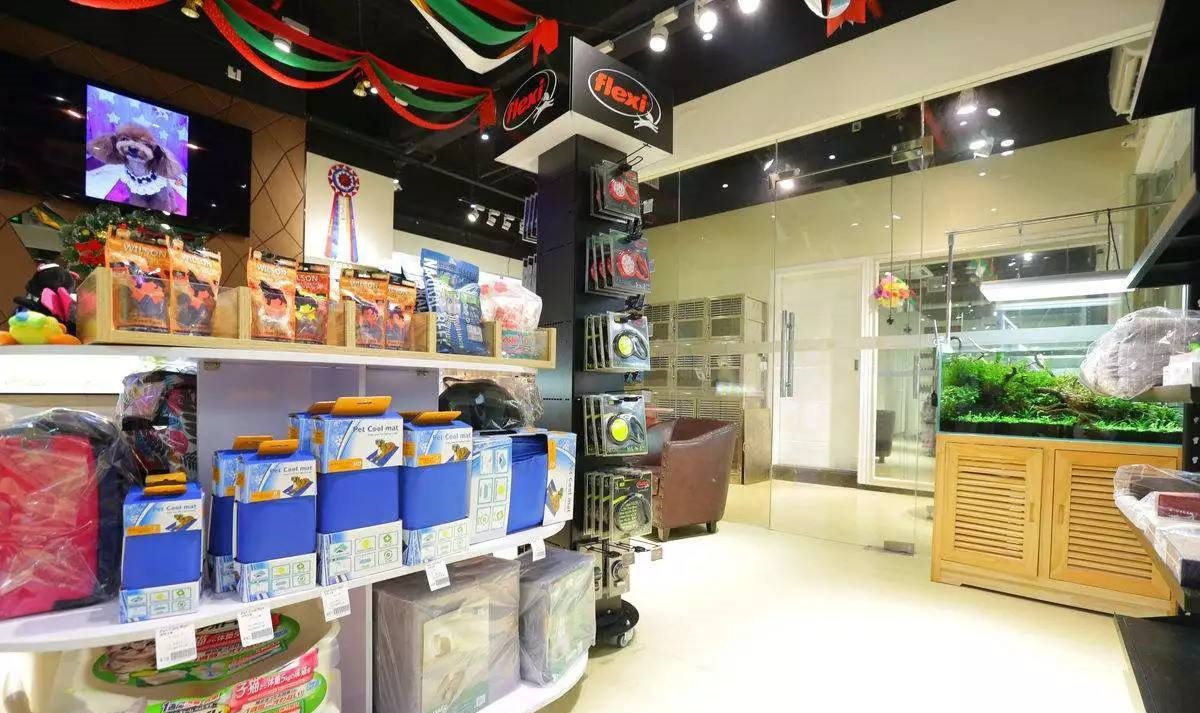 這家寵物店老板太會做生意，開業一個月暴賺百萬，每天生意火爆