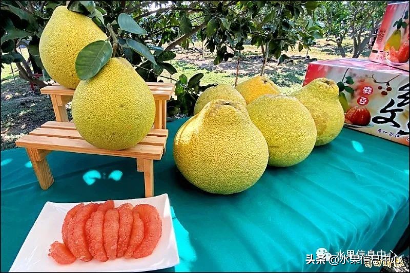 如何讓你的柚子更好賣？柚子文案大全