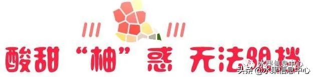 如何讓你的柚子更好賣？柚子文案大全