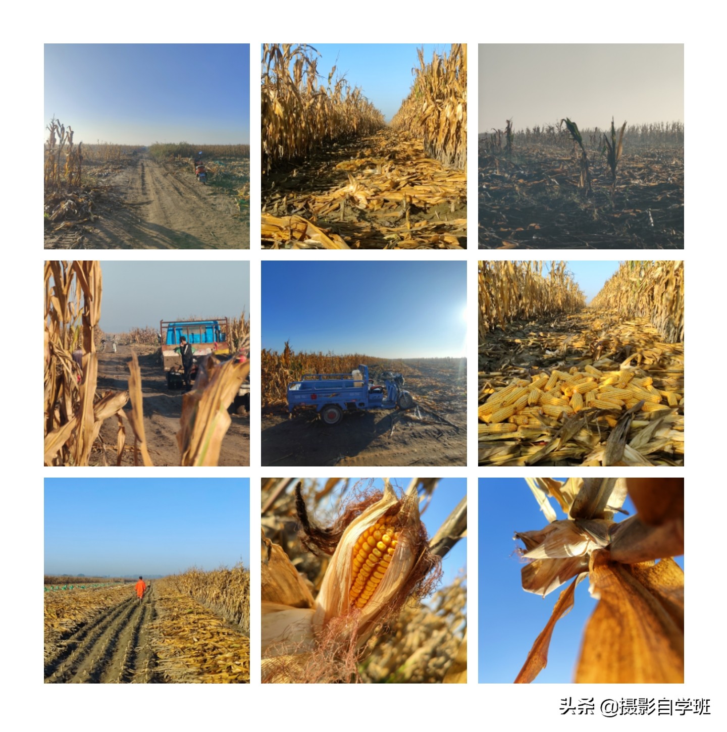 手機拍照片咋做成九宮格？只需4步，這么發朋友圈真好看