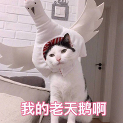還在擔心誤刪vivo手機重要照片？有了這些方法，再無后顧之憂