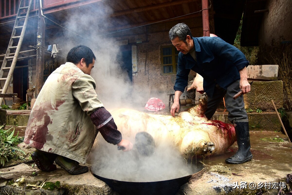 農村致富分享：在農村投資創業，開什么實體店？建議收藏