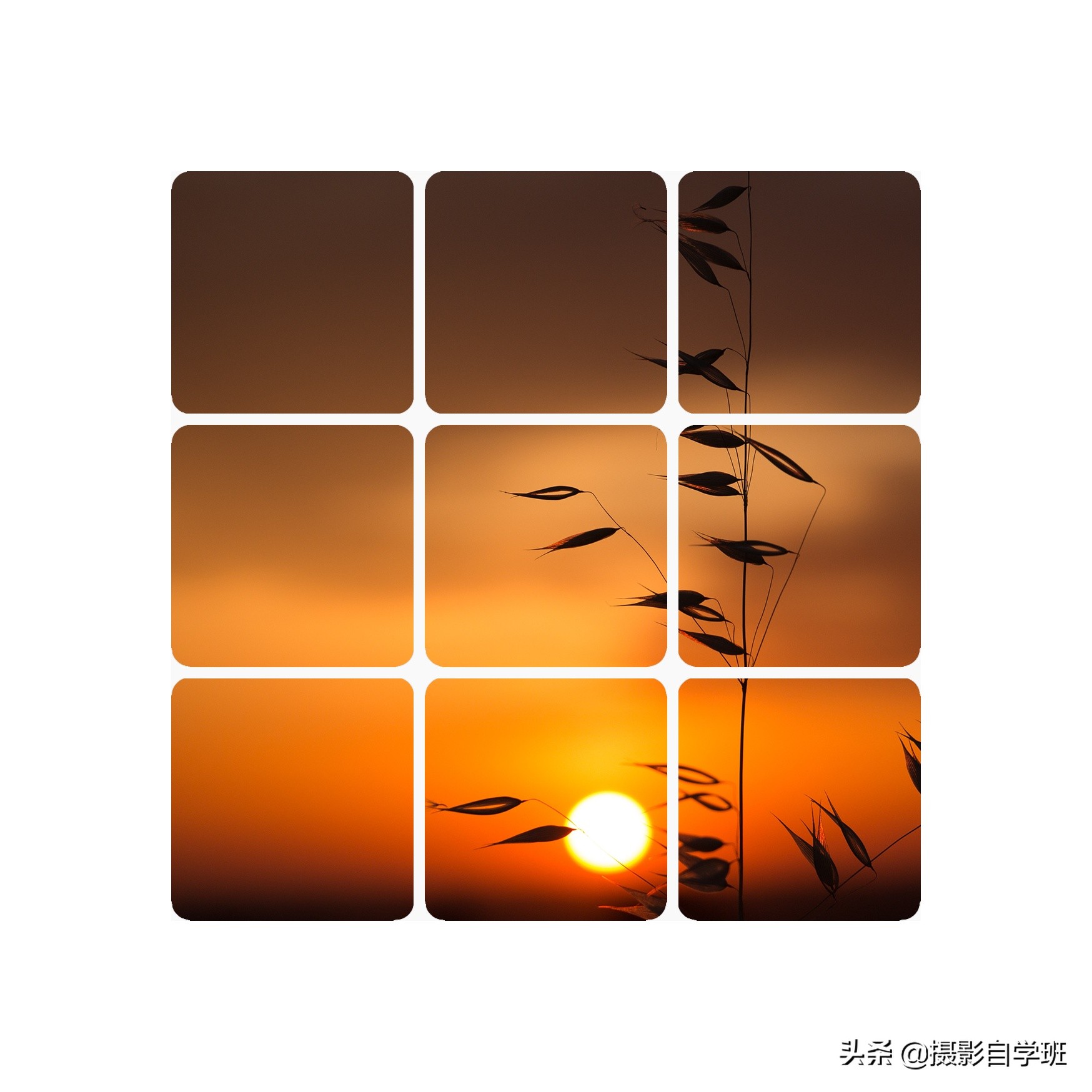 手機拍照片咋做成九宮格？只需4步，這么發朋友圈真好看