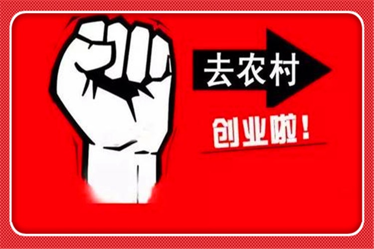 當前的農村，有哪些比較好一些的創業項目，可以快速賺錢呢？