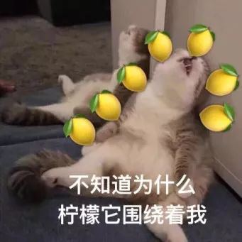 跳槽次數太多，怎么跟面試官解釋？優雅回答頻繁跳槽的三條話術