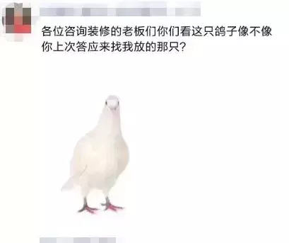 看設計師的朋友圈，個個都是文案鬼才
