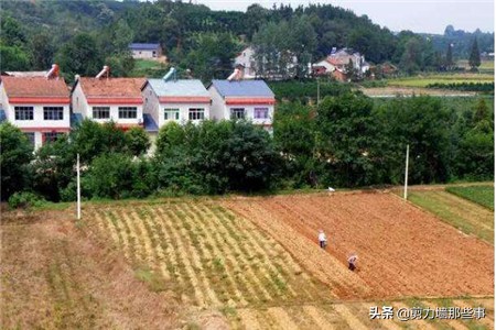 解讀一畝等于多少平方米？一畝三分地指什么？