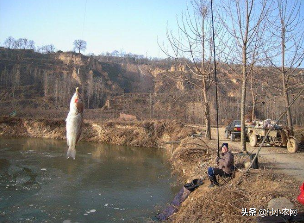 2021農村創業，干啥最賺錢？這5個農村致富項目值得大家嘗試
