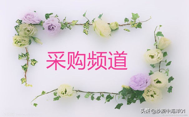 買家該如何加入天貓企業購？什么是天貓企業購？