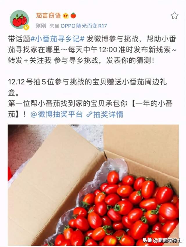 丁真火了？探秘微博營銷的千層套路