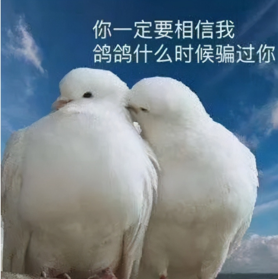拼多多達人直播如何引流？讓你的直播熱鬧起來的方法在這里