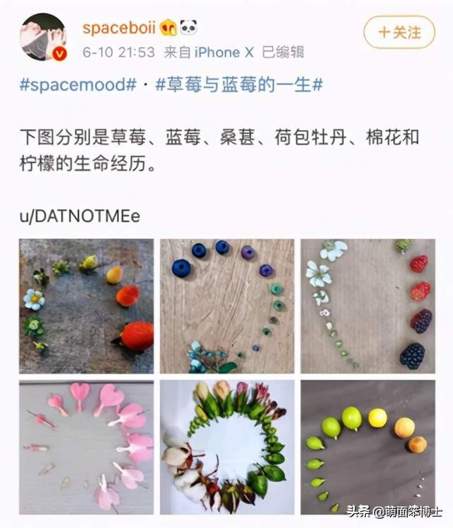 丁真火了？探秘微博營銷的千層套路