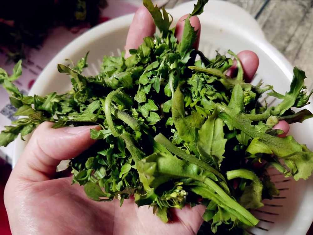 農村投資不高，利潤頗豐的幾種小生意，你了解幾個？