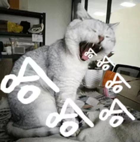 微信上線“靈魂”表情包，聊天離不開的表情包還藏著多少小秘密？