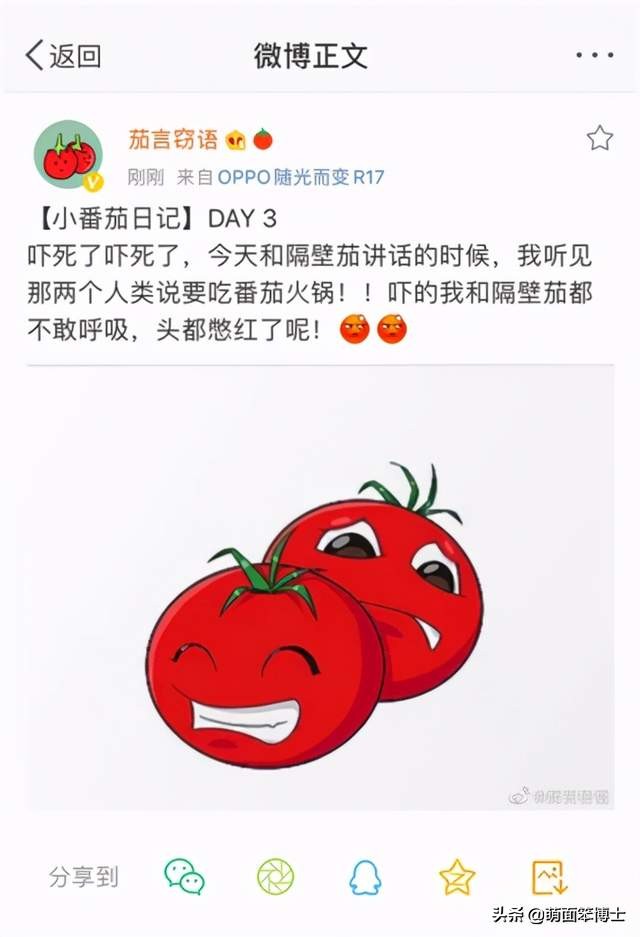 丁真火了？探秘微博營銷的千層套路