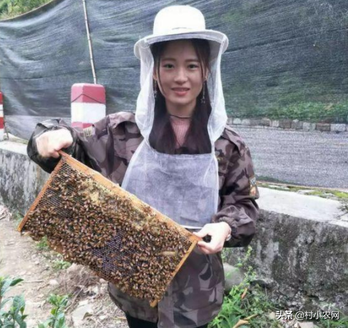 2021年在農村創業致富，養殖什么最賺錢？這6大項目值得推薦